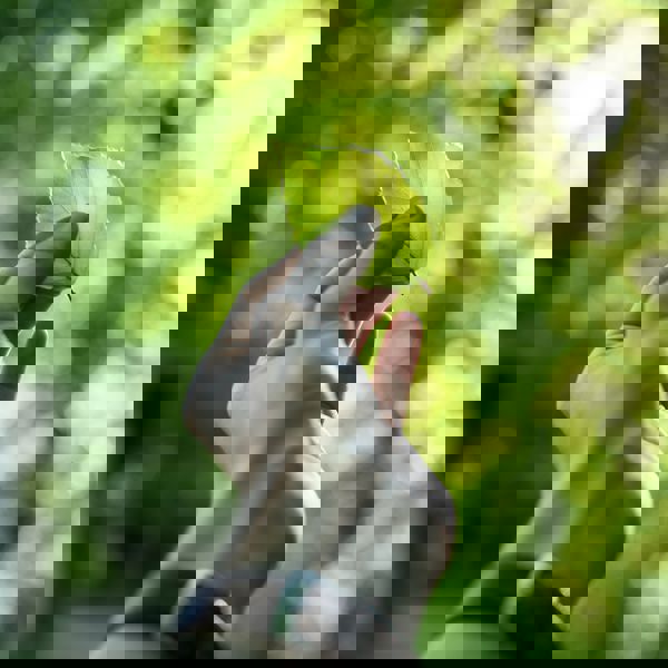 Where graphene tech meets sustainability 