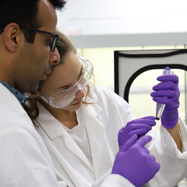 Two scientists working in a lab