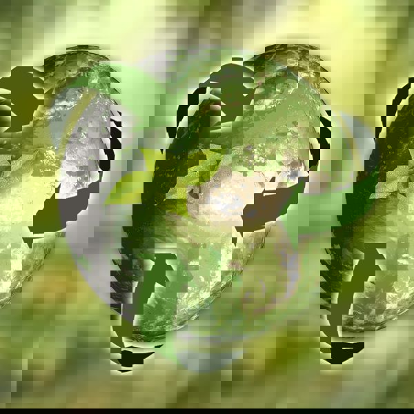 life cycle assessment