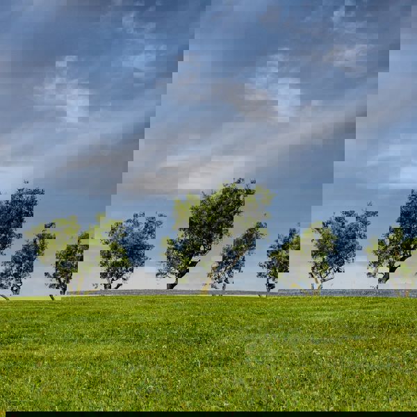 Graphene Flagship Spearhead projects to solve Europe’s environmental crisis