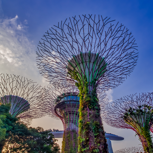 Singapore-EU Workshop 2023. Graphene Flagship.