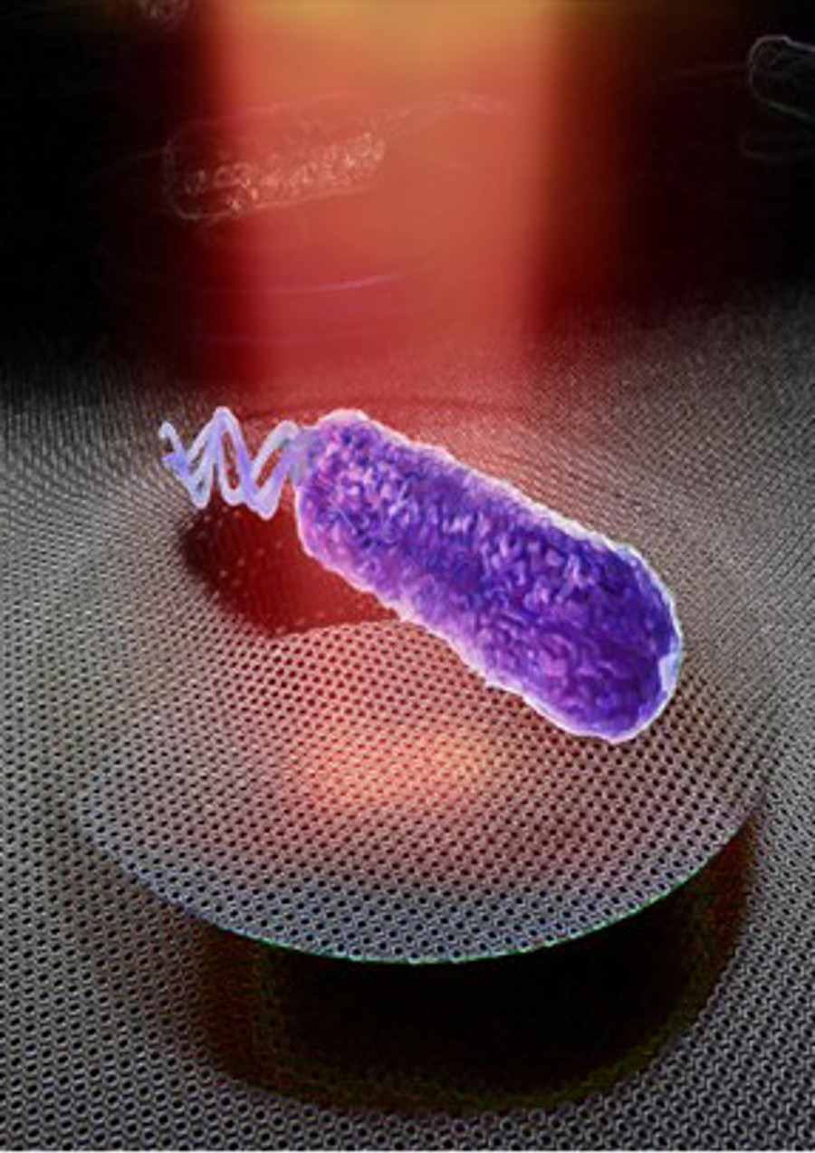 Bacterial soundtracks revealed by graphene membrane