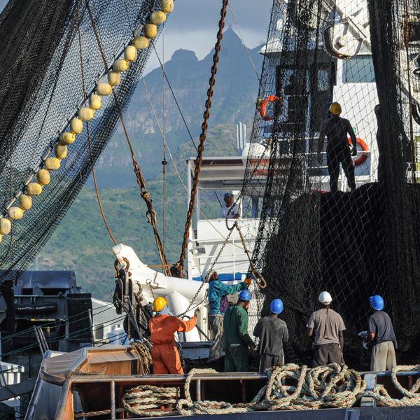 Our Graphene Flagship crew shares their thoughts